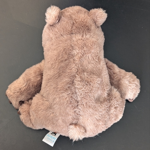 Jellycat | Wonda Wombat Plush Toy - Picture 13 of 15